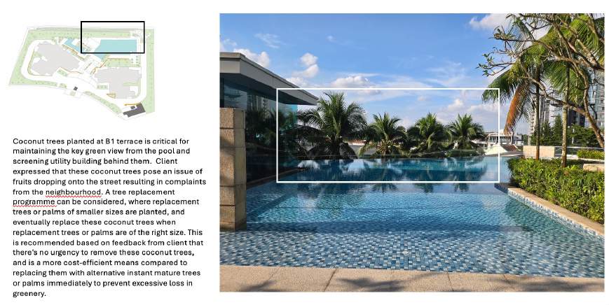 Balmoral Park Road Condominium