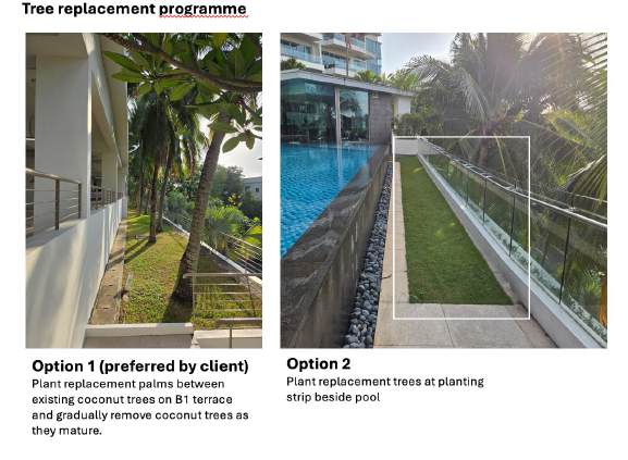 Balmoral Park Road Condominium