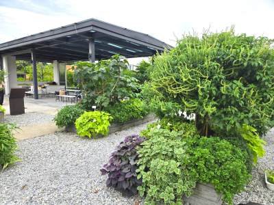Chinese Gardens, Jurong Lake Gardens