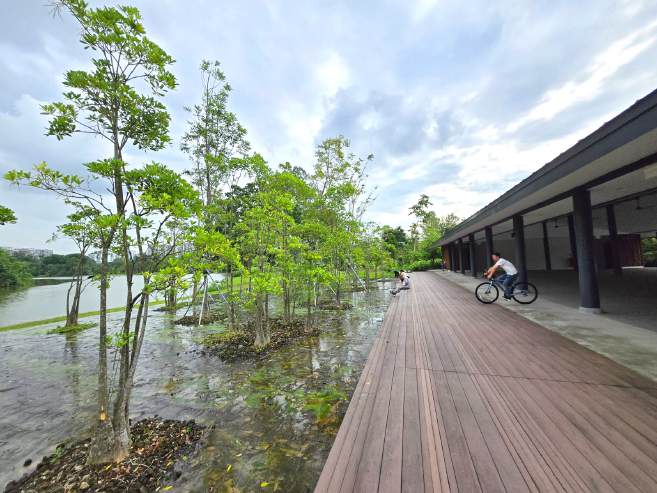 Alstonia trees planted in rocks, recirculating water flows across rocks mimicking natural streams, framed by a refurbished pavilion
