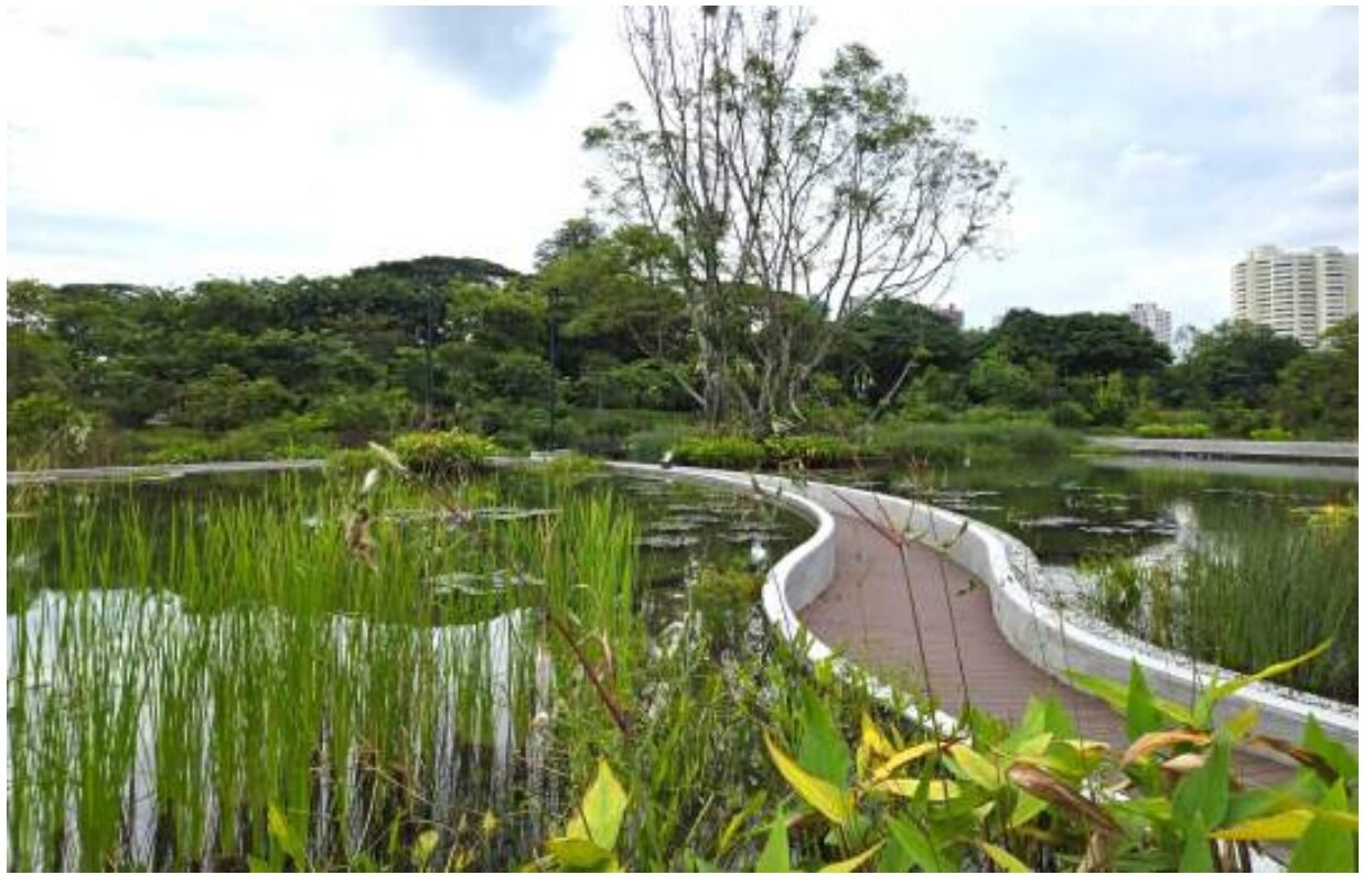 Japanese Gardens, Jurong Lake Gardens
