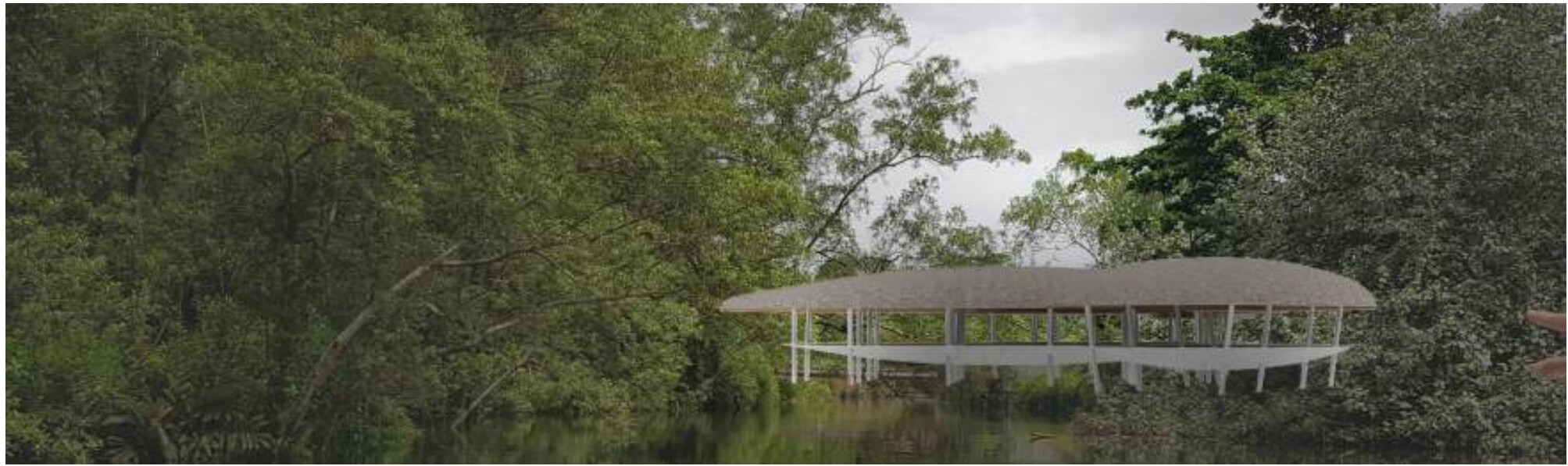 Mangrove Nature Park (Mandai)