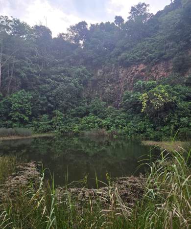 Rifle Range Nature Park