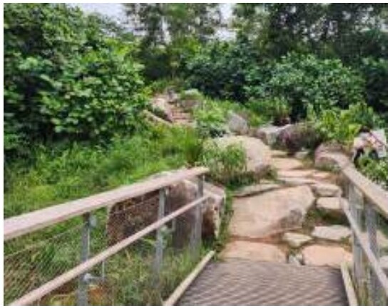 Rifle Range Nature Park